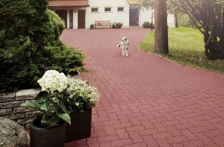 Kostka brukowa bez fazy to rodzaj kostki, w której brzegi nie są fazowane. 
