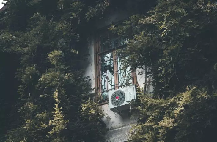 Rozważ posadzenie roślin pnących, które będą stanowiły dodatkową warstwę termoizolacyjną, chroniącą przed upałami.