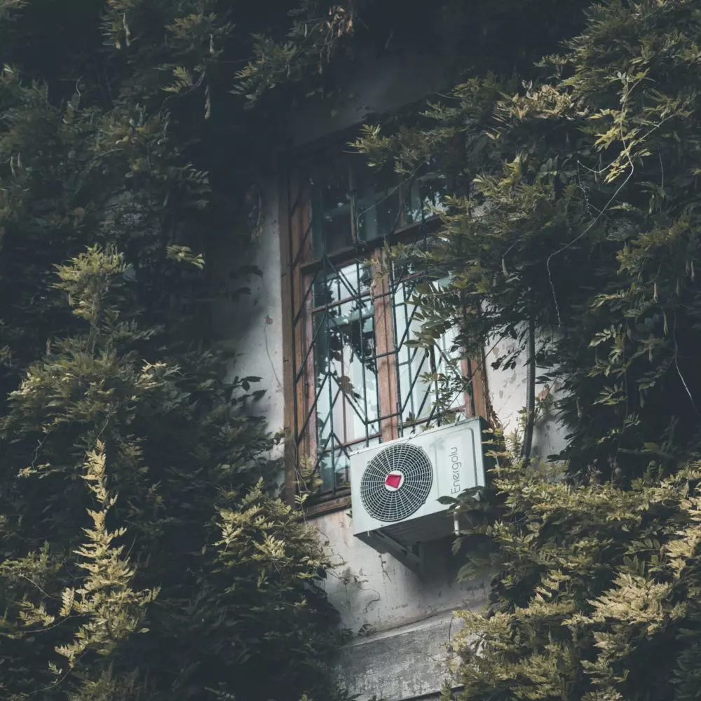 Rozważ posadzenie roślin pnących, które będą stanowiły dodatkową warstwę termoizolacyjną, chroniącą przed upałami.