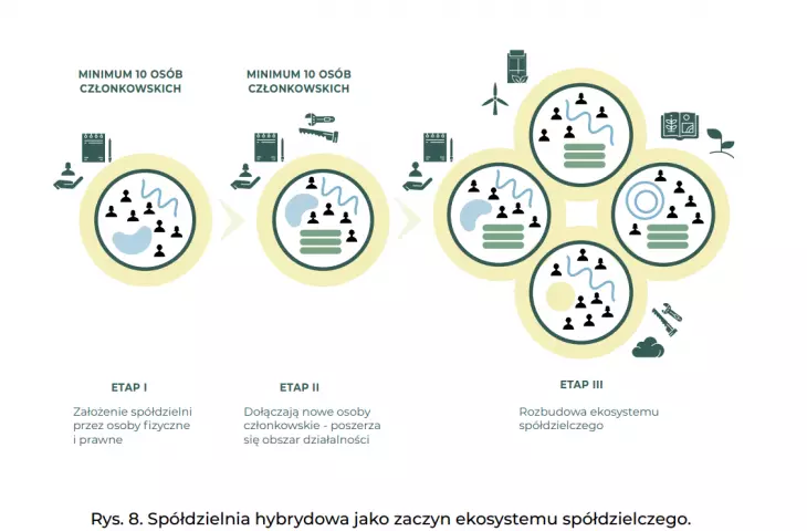 model rozwoju spółdzielczości