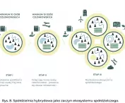 model rozwoju spółdzielczości