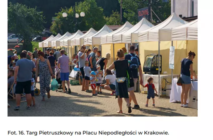 każde działanie w raporcie jest przywołane w raz z przykładem