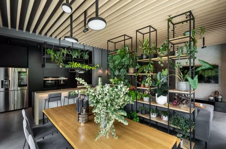 The interior is filled with plants