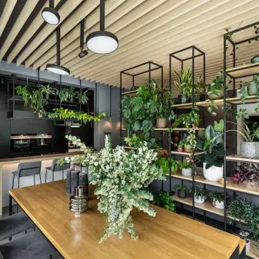 The interior is filled with plants