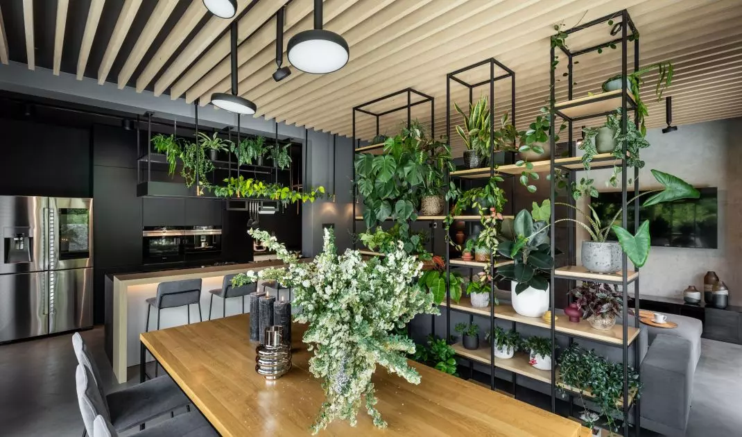 The interior is filled with plants