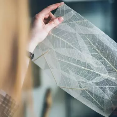 Self-adhesive wallpaper is easier to apply
