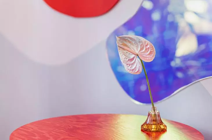 Motyw ust to nawiązanie do flakonu perfum autorstwa Salvadora Delego