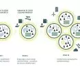 development of hybrid cooperative