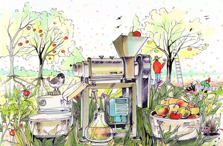 illustrations by Gosia Zmysłowska