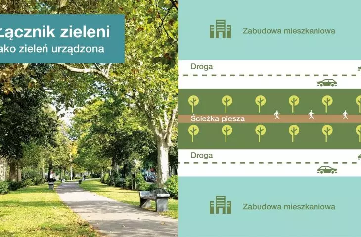Studium uwarunkowań i kierunków zagospodarowania dla Poznania- amendment