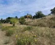 Southern tip of Ostrów Tumski, right bank of the Warta River; visible excavations at the site of the future bridge abutment