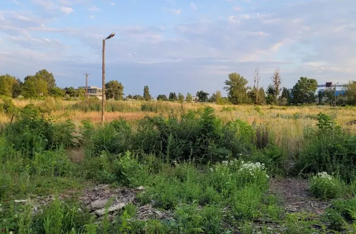 Osiedle Portowo w Poznaniu