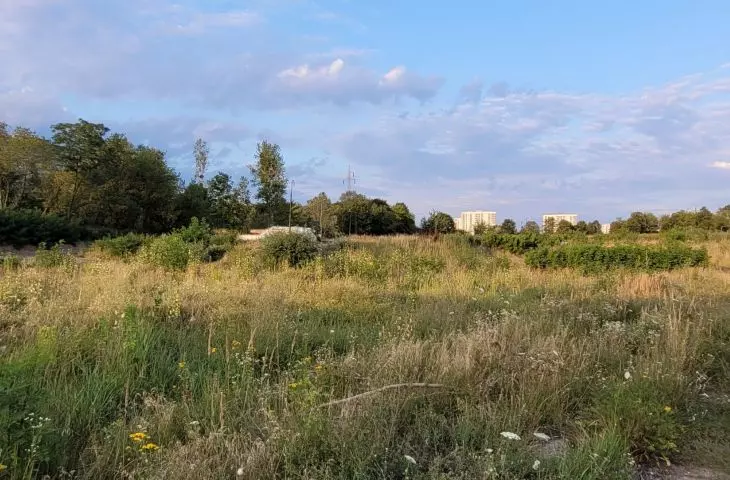 Osiedle Portowo w Poznaniu