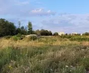 Osiedle Portowo w Poznaniu