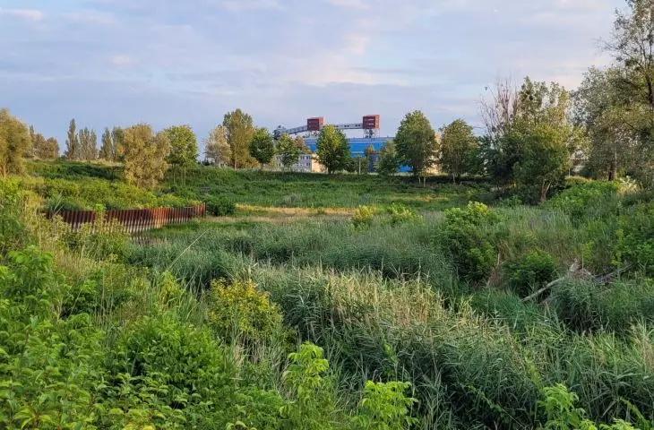 Osiedle Portowo w Poznaniu