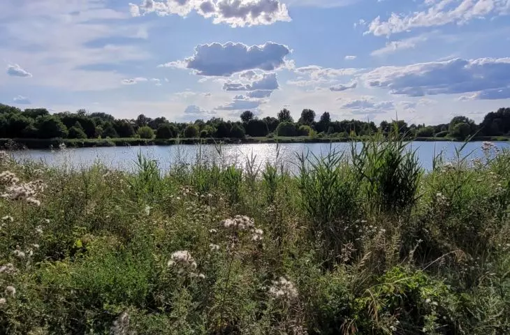 stawy na Kopaninie, tzw. Szachty