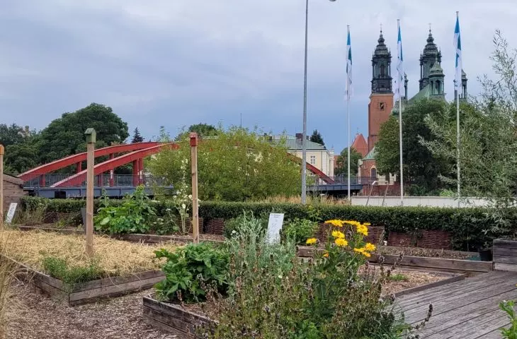 Ekepsrymentalny Ogród Dziedzictwa między Bramą Poznania a ul. Ostrówek