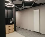 MEXTRI boards at the newly opened Selvita Research Centre in Krakow, Poland