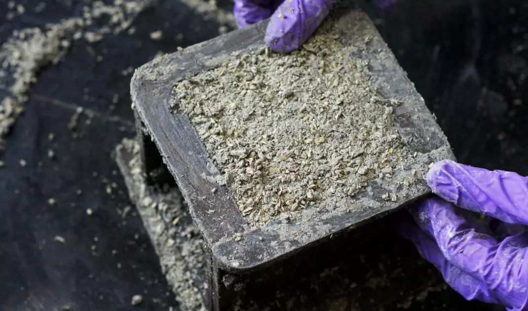 Beton konopny jest biodegradowalnym materiałem budowlanym. Może być wyrabiany i formowany na miejscu.