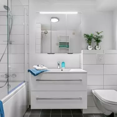 Simple solutions help increase the functionality of the bathroom. All you need is a glass pane and a shower faucet to get the proverbial 2-in-1.