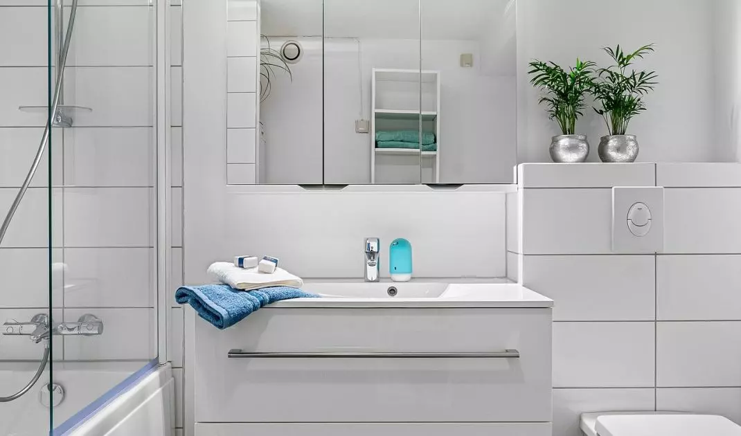 Simple solutions help increase the functionality of the bathroom. All you need is a glass pane and a shower faucet to get the proverbial 2-in-1.