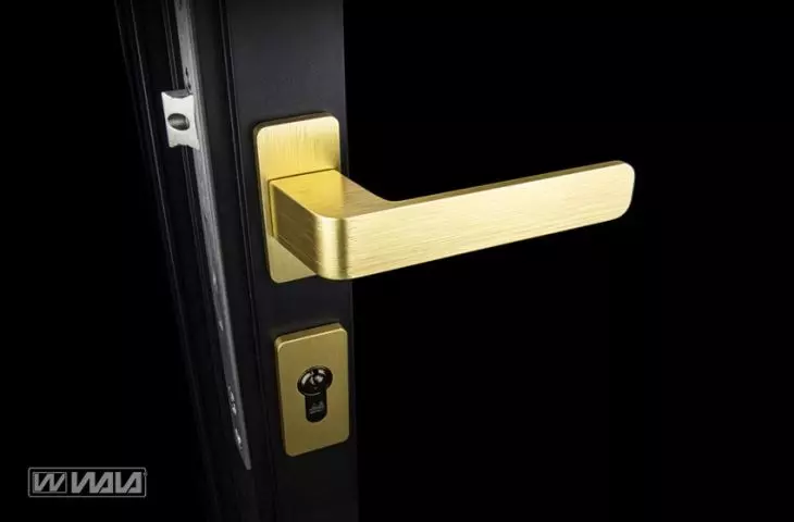 H6 gold door handle plus escutcheon