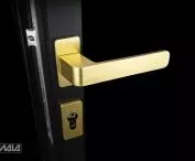 H6 gold door handle plus escutcheon