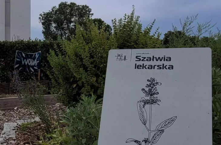 Eksperymentalny Ogród Dziedzictwa przy Bramie Poznania