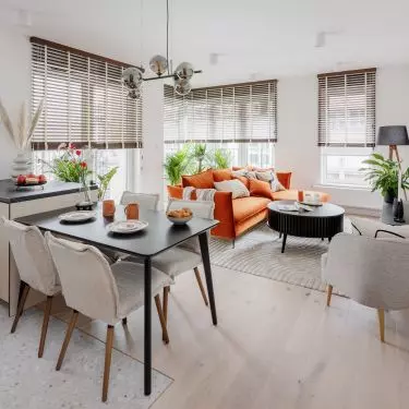 The living area is full of color contrasts