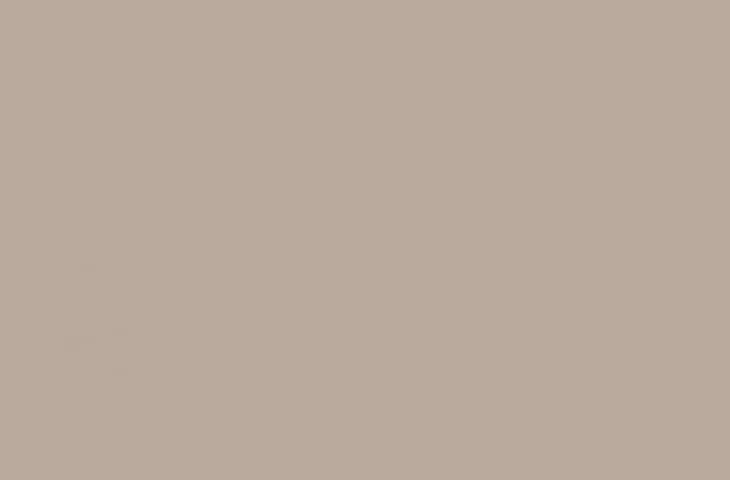 Nutmeg Brown