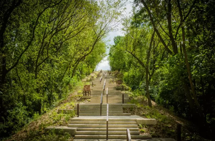 stairs in the park