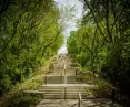 stairs in the park