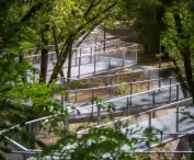 ramp in the park