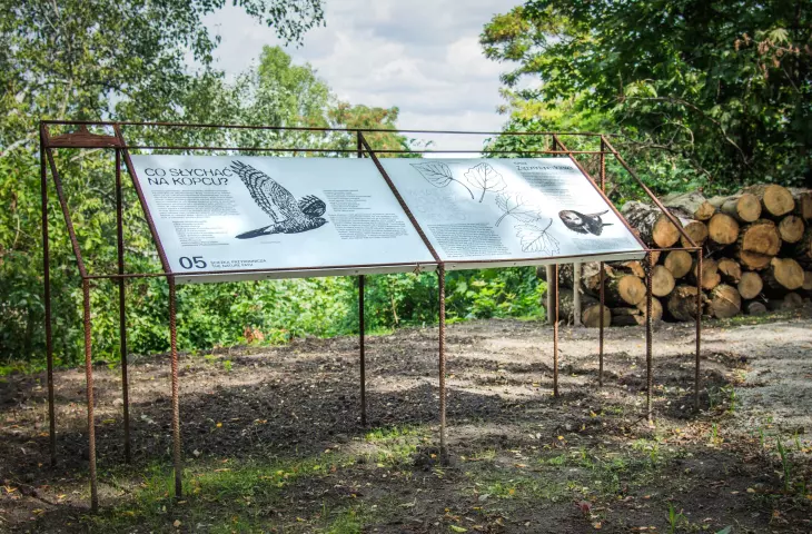 information about animals and plants