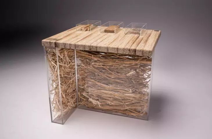 Hemp wood display made by The True Green