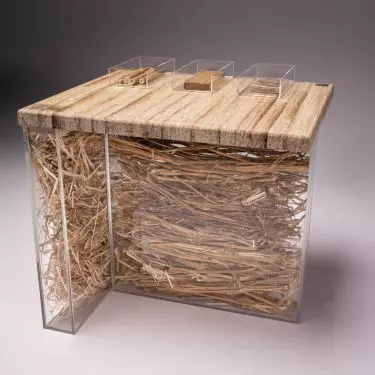 Hemp wood display made by The True Green