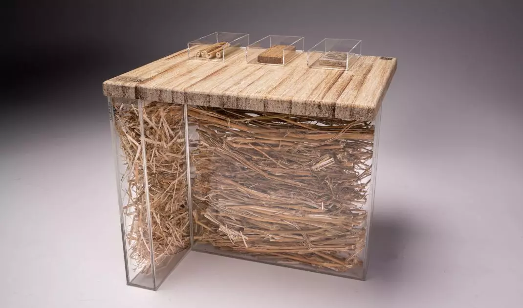 Hemp wood display made by The True Green