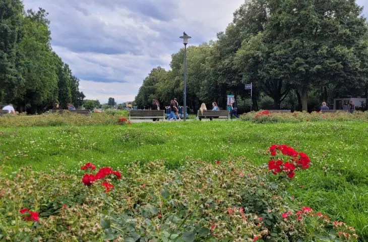 zielony łącznik między ul. Królowej Jadwigi a terenem przy stadionie Szyca; Multikino 51 po lewej za kadrem 