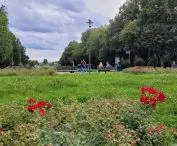 zielony łącznik między ul. Królowej Jadwigi a terenem przy stadionie Szyca; Multikino 51 po lewej za kadrem 