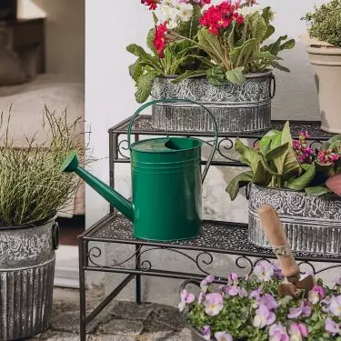 Pots and flowerbeds made of metal are weatherproof