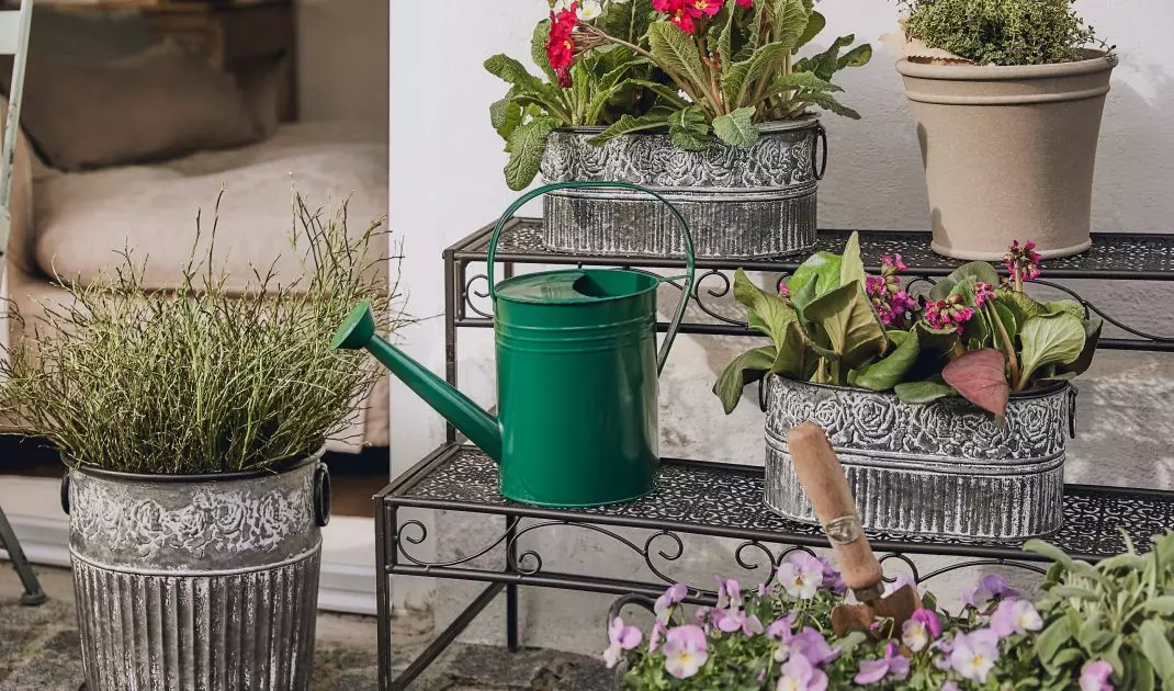 Pots and flowerbeds made of metal are weatherproof