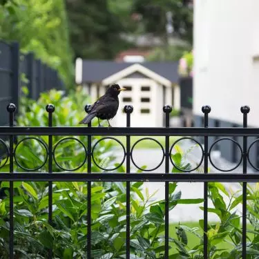 Wrought iron fences are durable and aesthetically pleasing