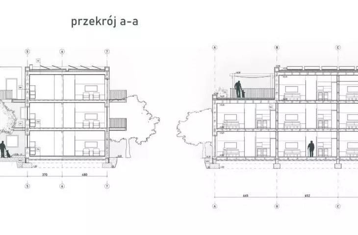 sections