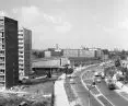 ulica Czarnowska