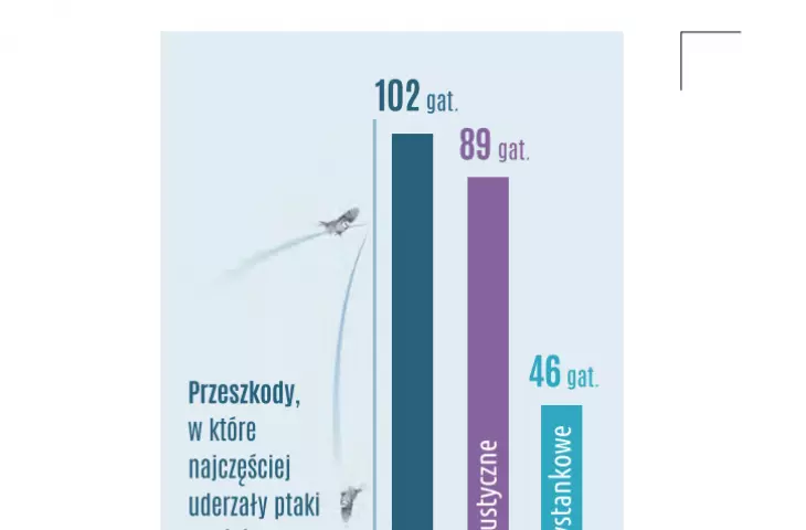 Kolizje ptaków z transparentnymi powierzchniami, kompendium wiedzy