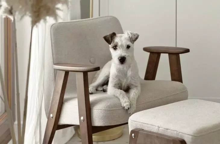 The apartment belongs to a couple with a dog