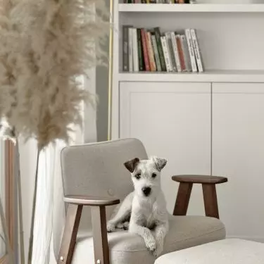 The apartment belongs to a couple with a dog