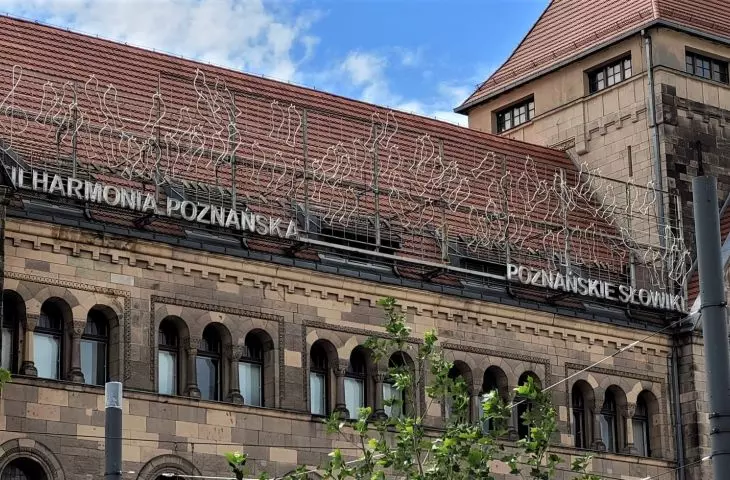 poznańskie neony