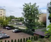 investment area 