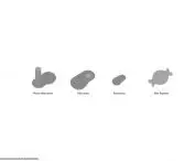 objects